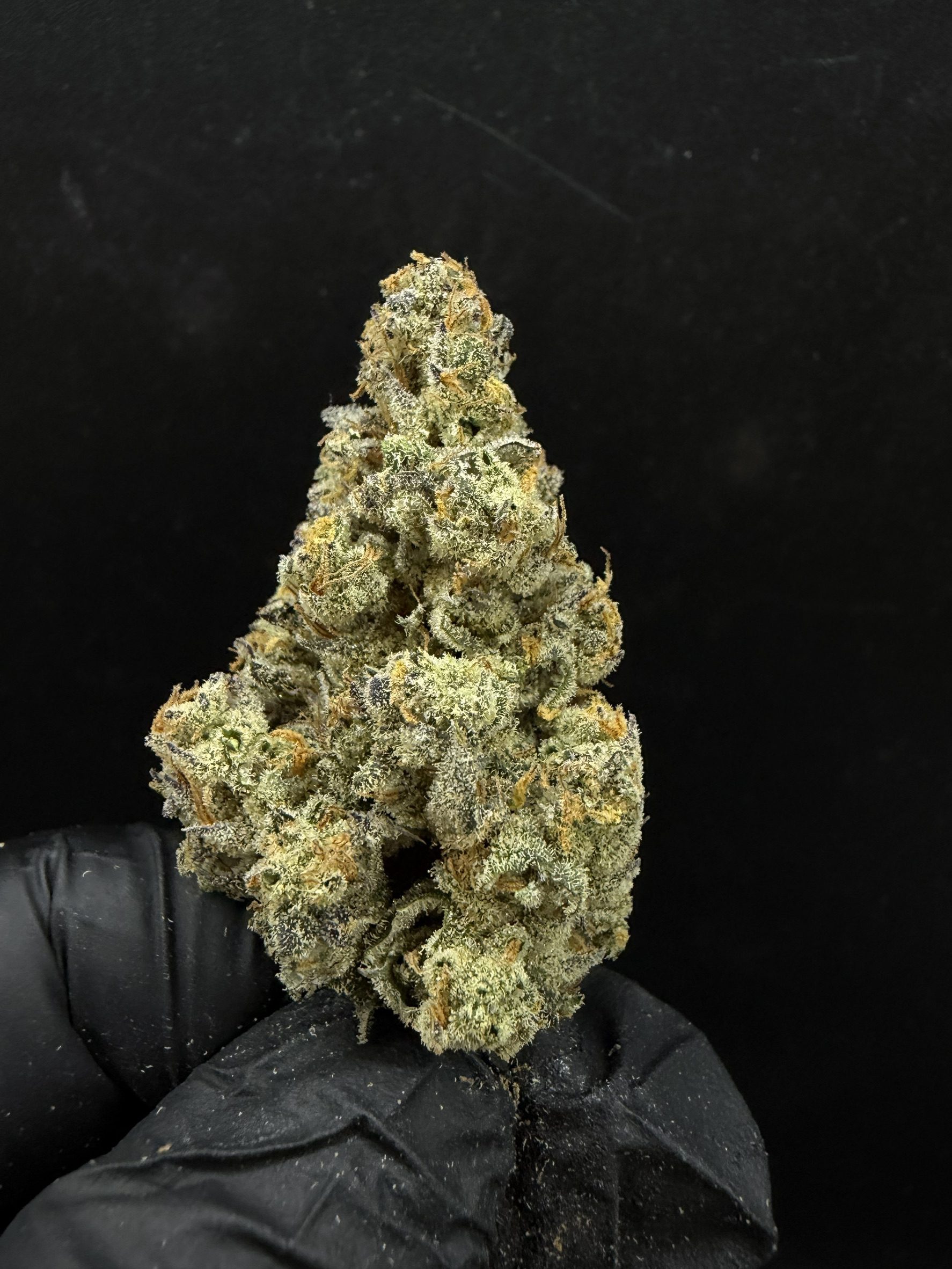Cherry Mango Haze