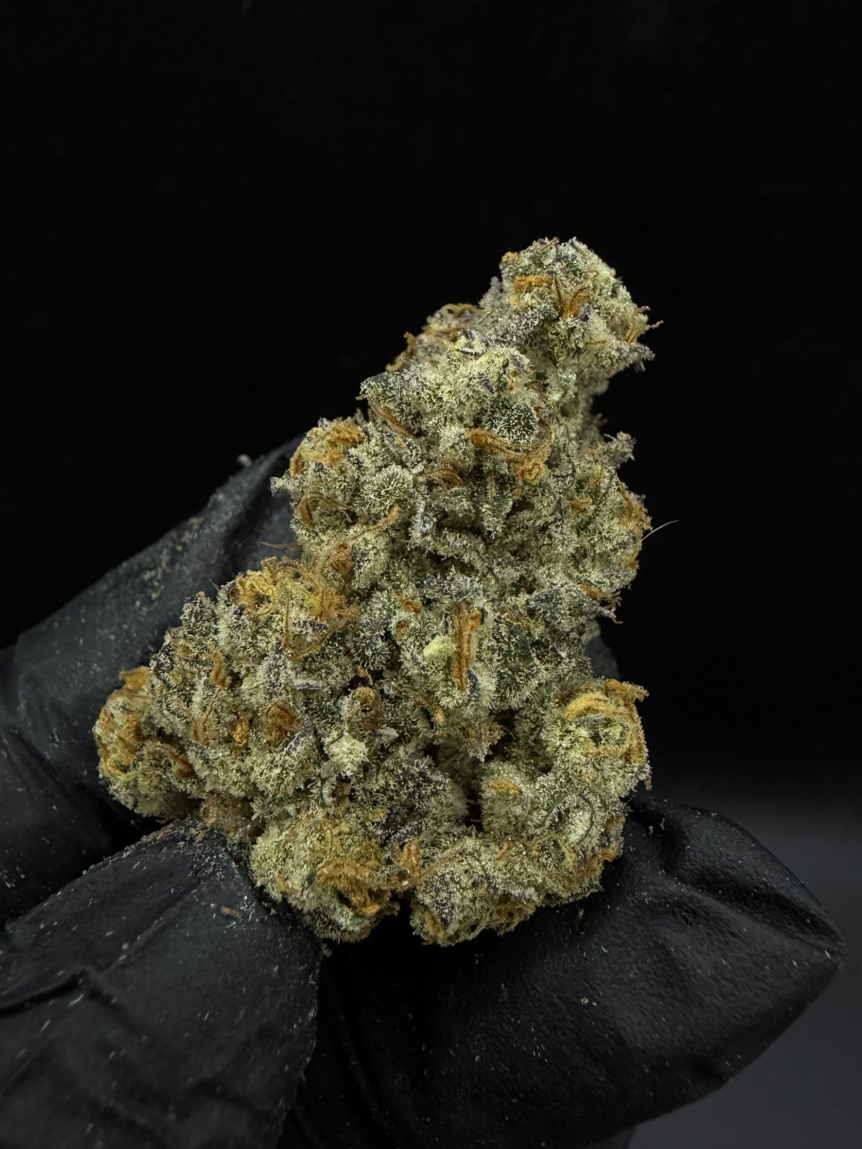 Cherry Mango Haze - Image 2