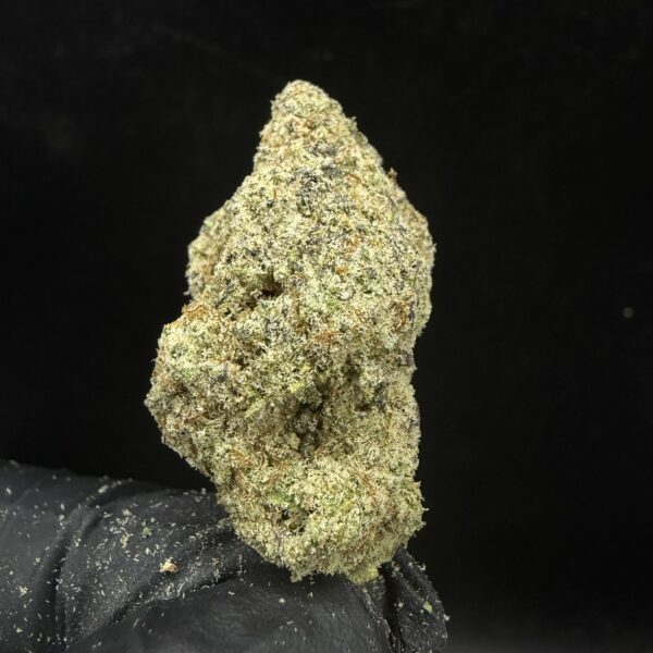 Mac 1 [ Mix Size ]