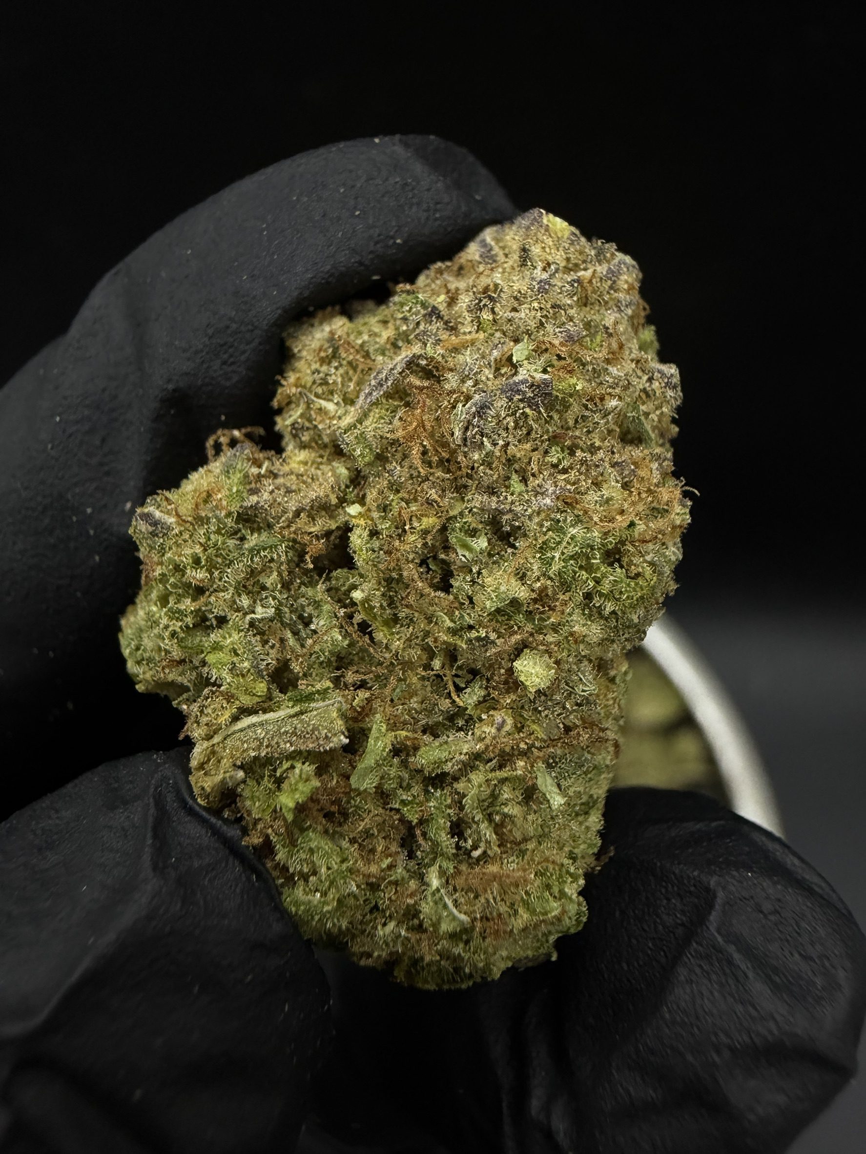 Hawaiian Haze - Image 2