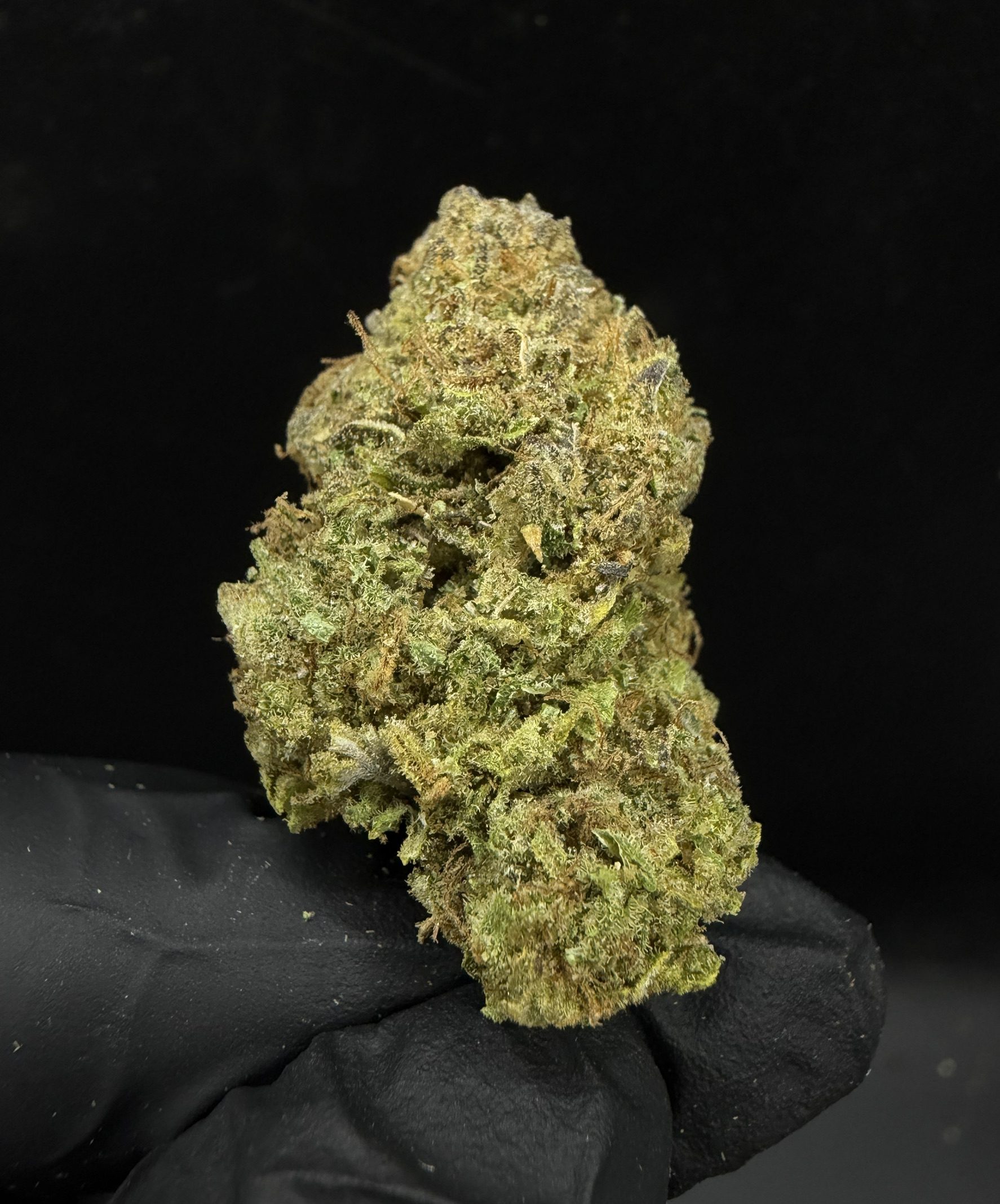 Hawaiian Haze