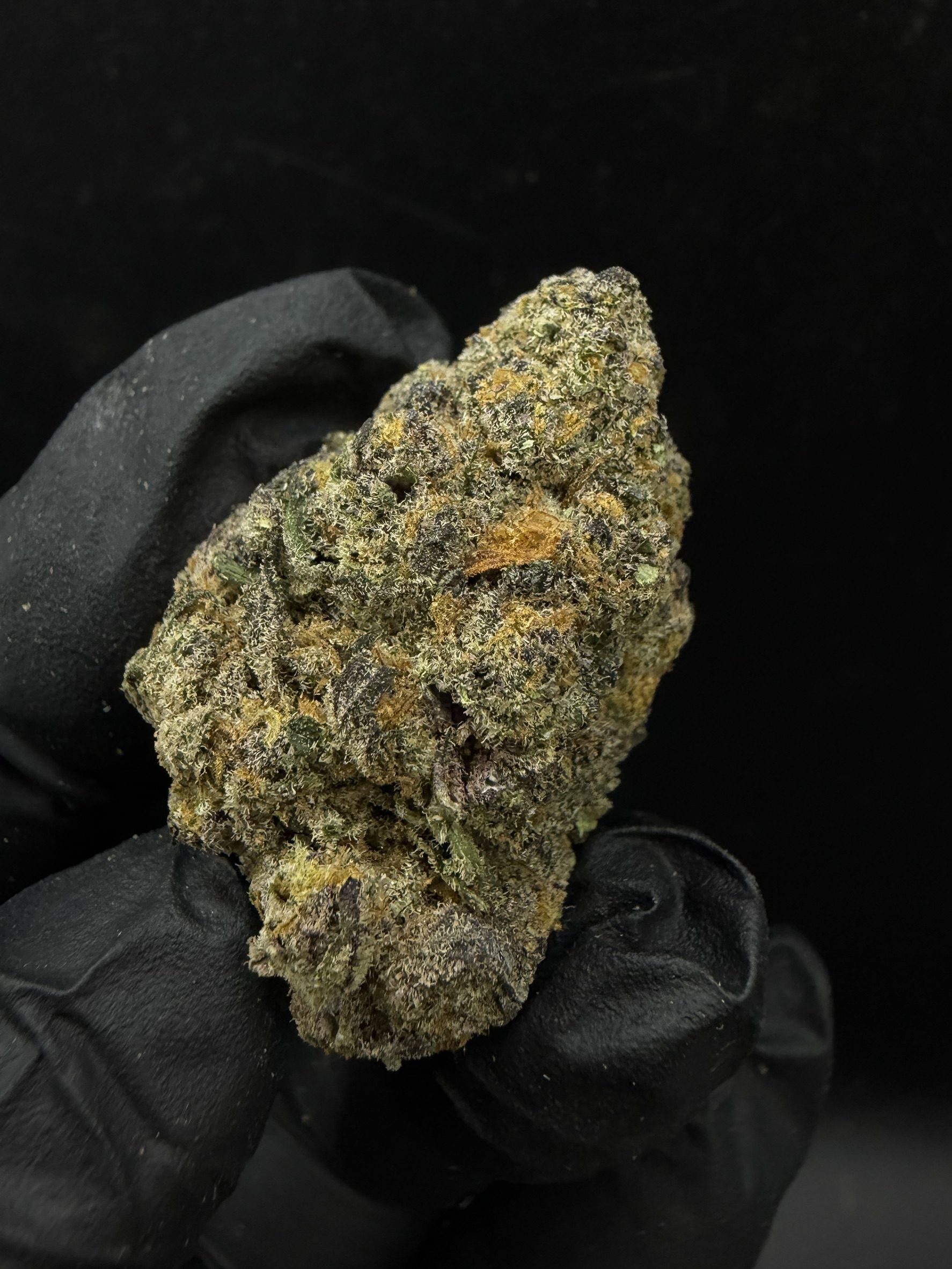Jelly Breath - Image 2