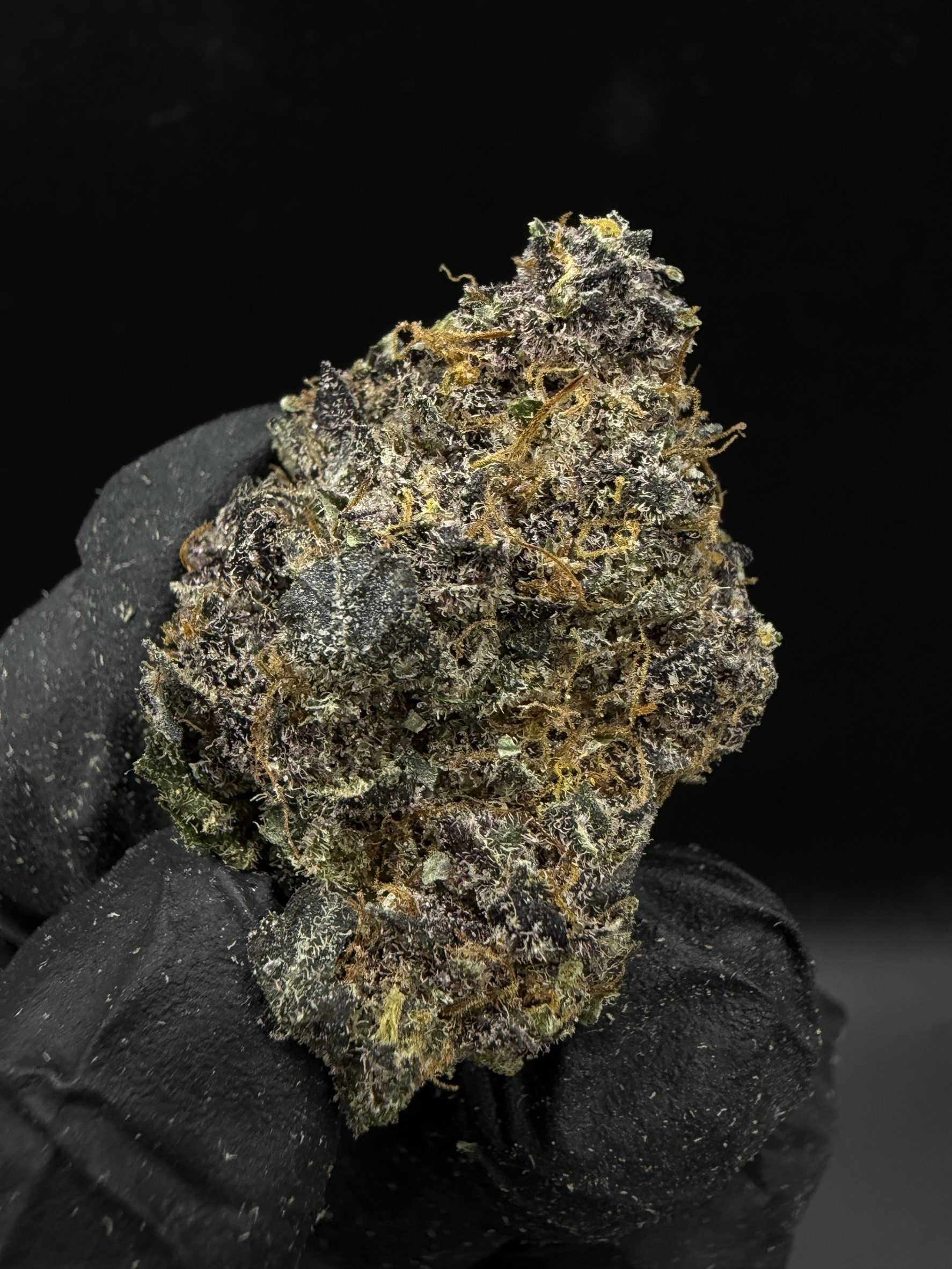Cninamon Roll - Image 2