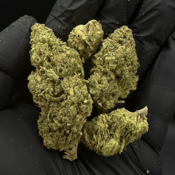 Sour Cherry