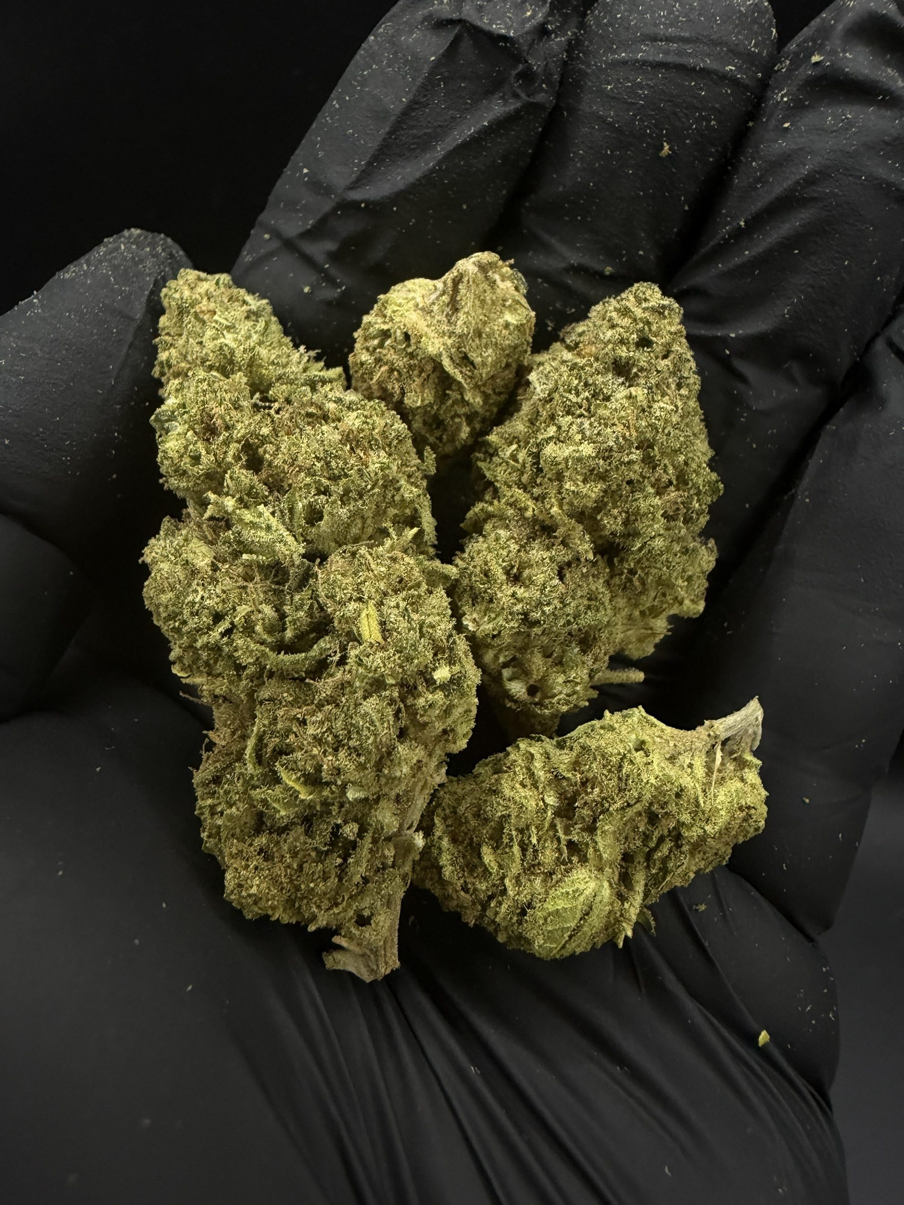 Sour Cherry