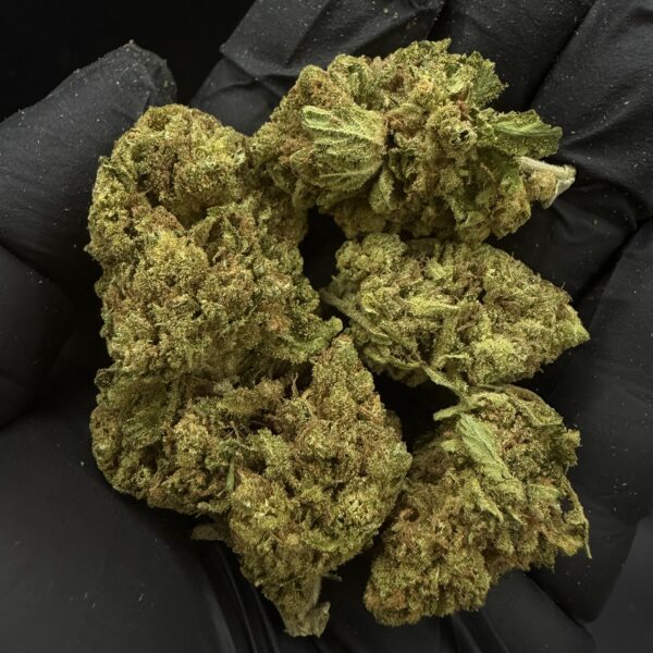Super Silver Haze