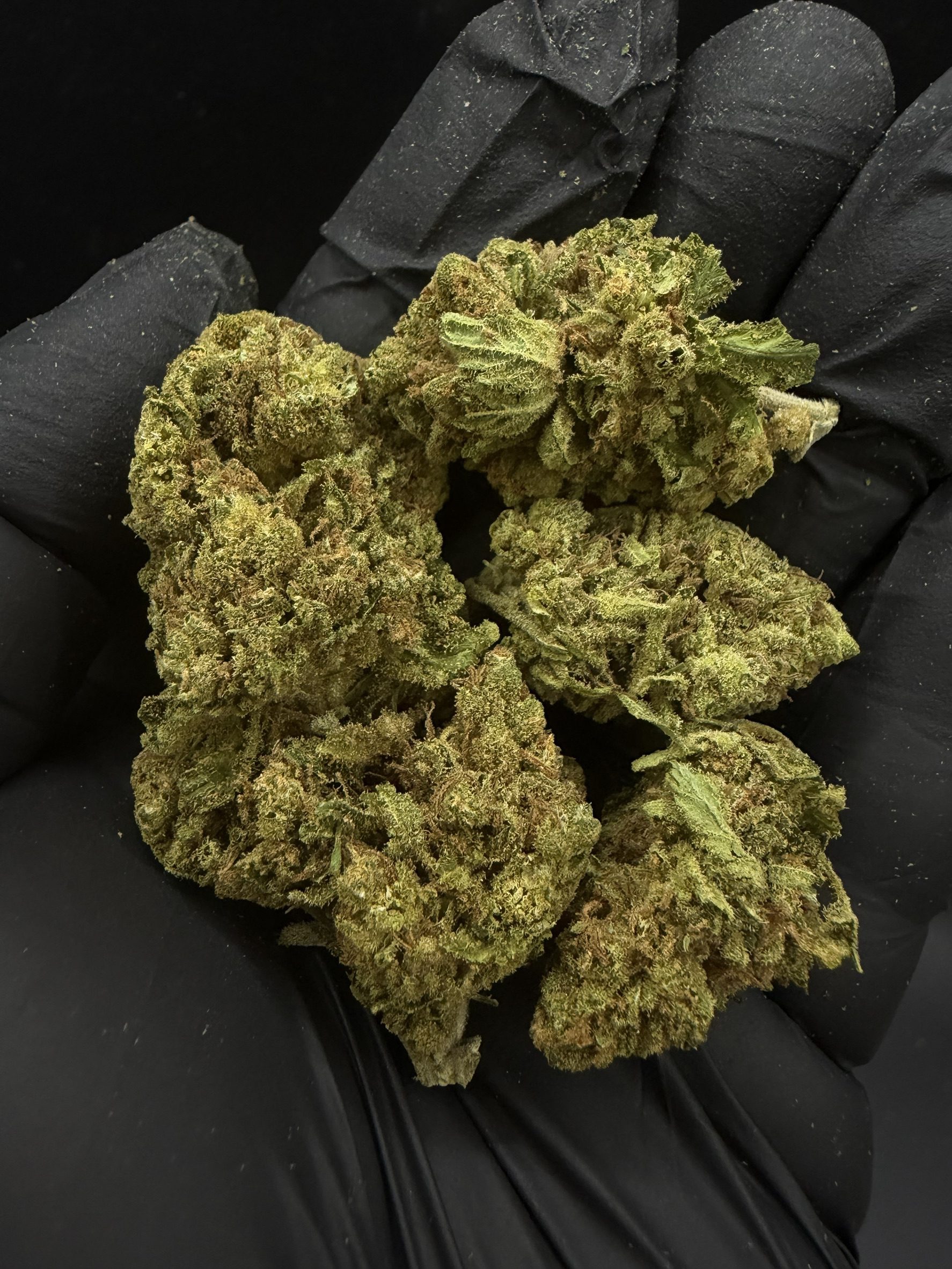 Super Silver Haze
