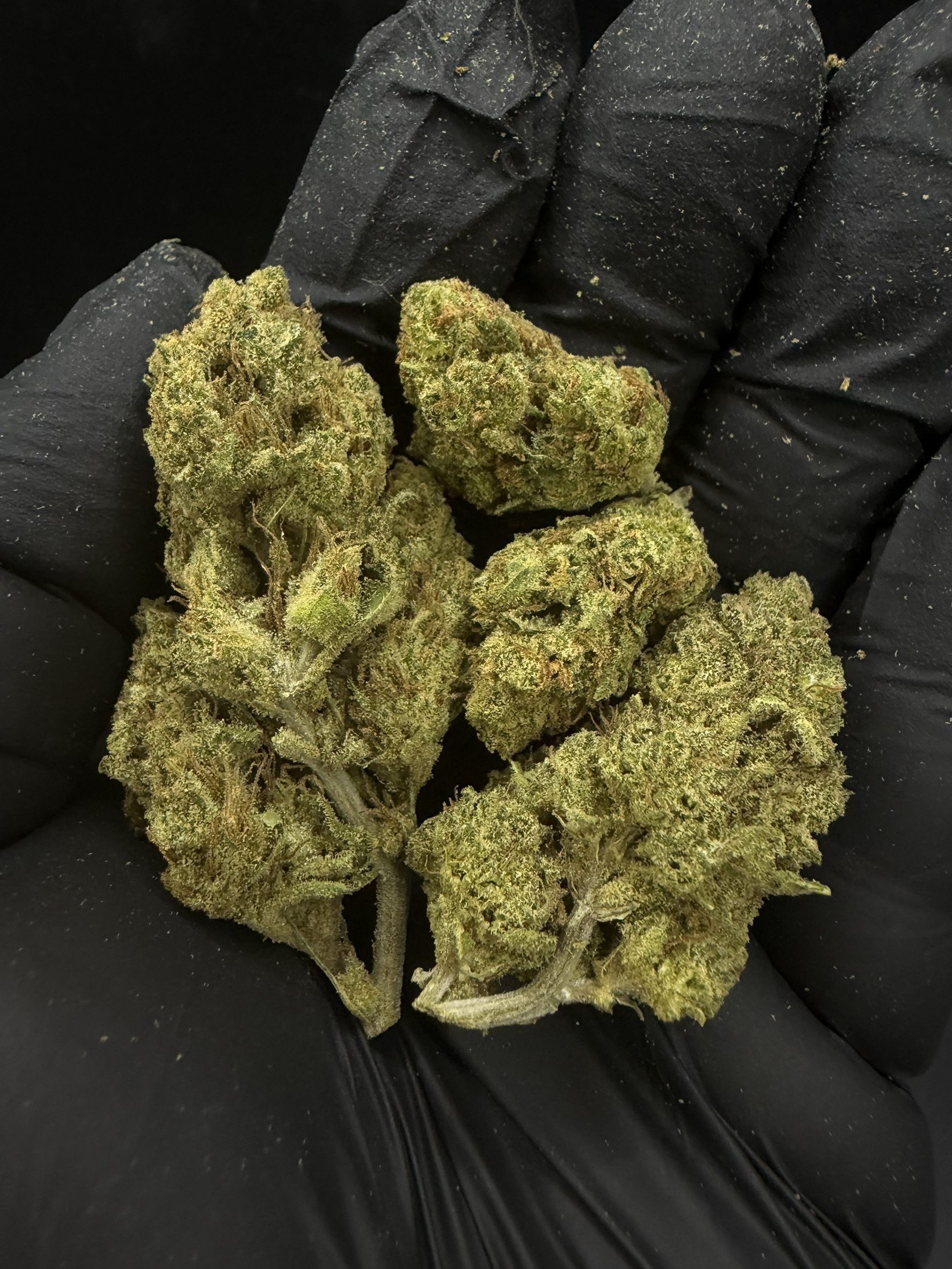 Zkittlez