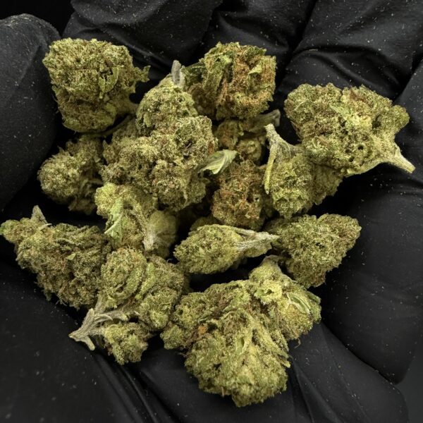Runtz [ Popcorn Start 5g = 50 ]