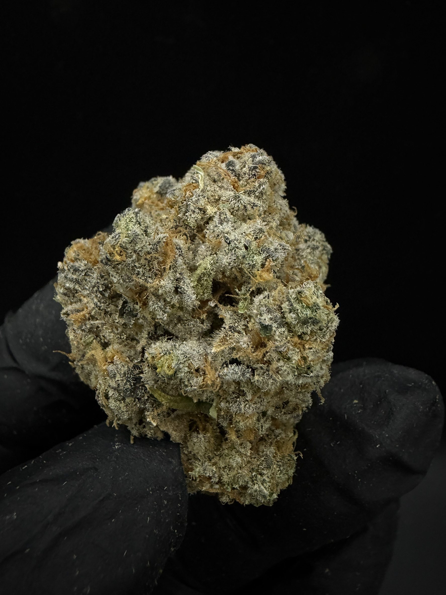 Sugar Fuel - Image 2