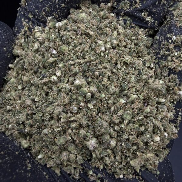 Shaker [ Super Boof ]