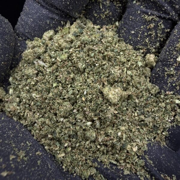 Shaker [ Gelato Cookies ]