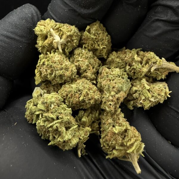 Blueberry [ Popcorn Start 3g = 30 ]