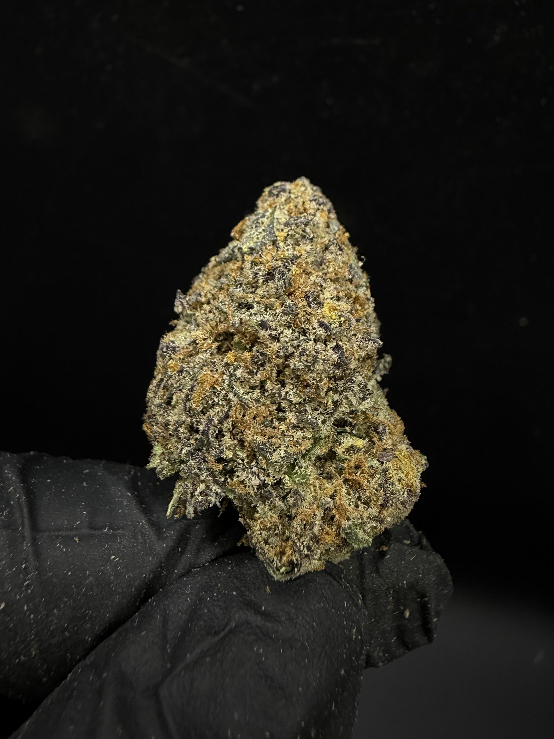 Blackberry Oreoz Big Stuff