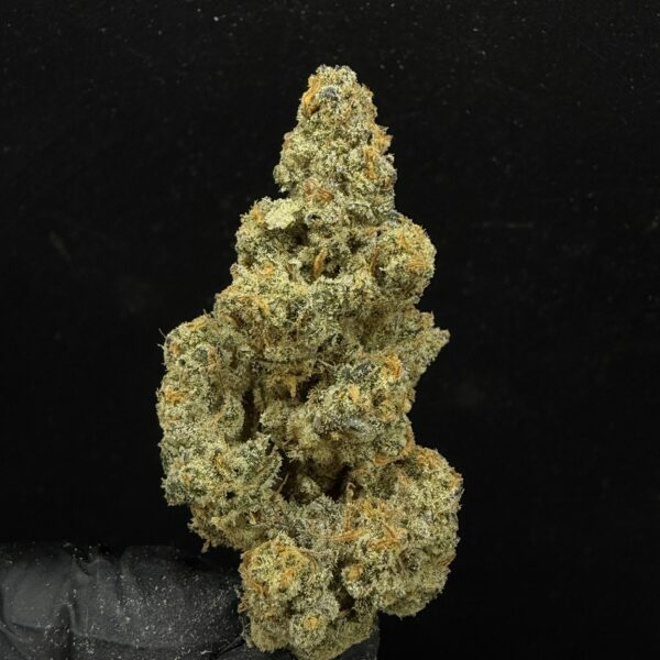 Cherry Mango Haze