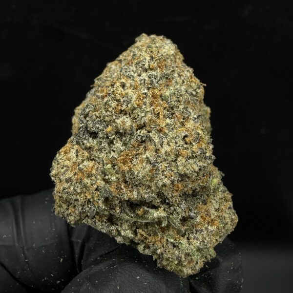 White Truffle