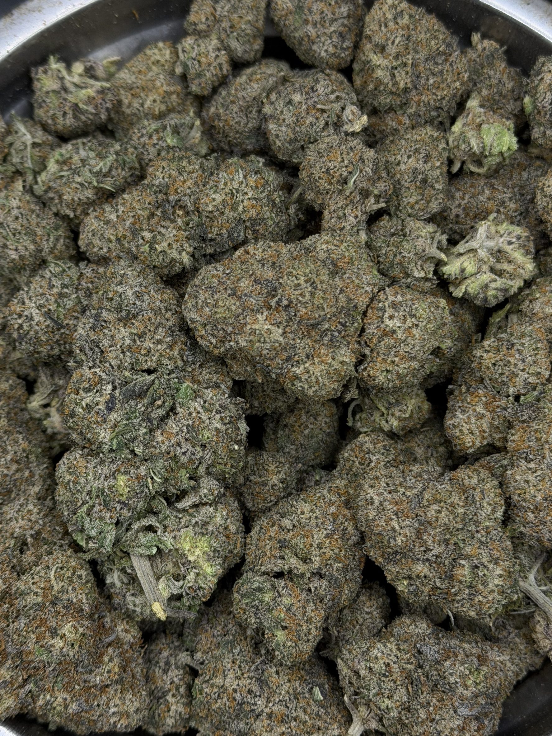 White Truffle - Image 3