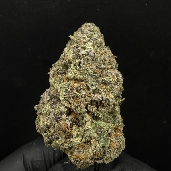 Mendo Kush